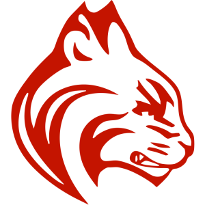 Logo for Bournemouth Bobcats